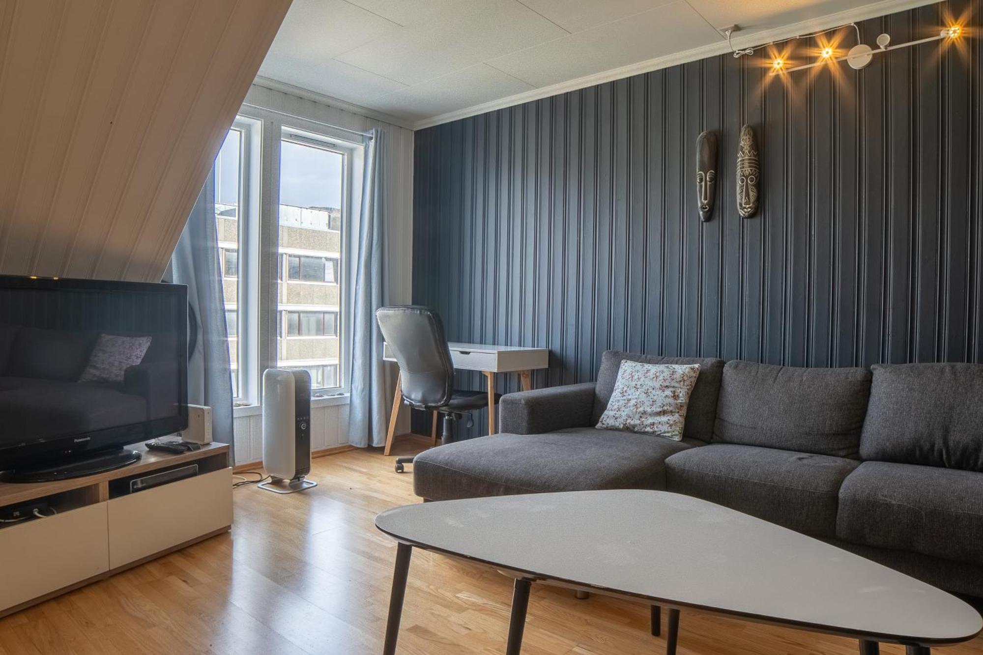 2 And 3 Rooms Apartments トロムソ 部屋 写真